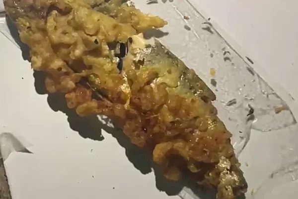 Menu MBG Bandeng Presto di Jepara Diduga Berbelatung, Sekolah Laporkan ke Penyedia